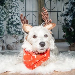 KW Bandanas Antlers bandana